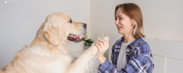 Probiotic Powder for Dogs