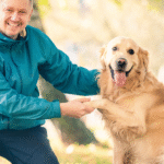 Understanding How Dog Probiotics Support Stool and Gut Health