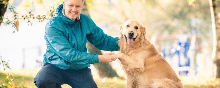 How Dog Probiotics Support Stool and Gut Health