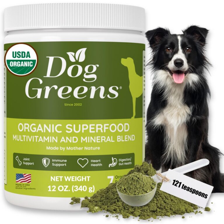 Short-Chain Fatty Acids in Dog Nutrition: Clinical Evidence Review