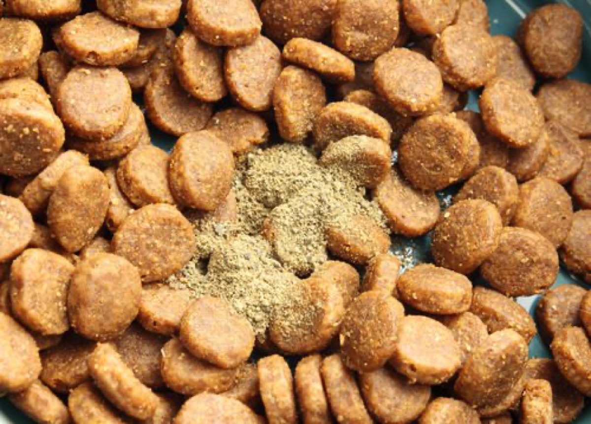 ingredients - Canine Dysbiosis: A Veterinarian's Diagnostic Framework