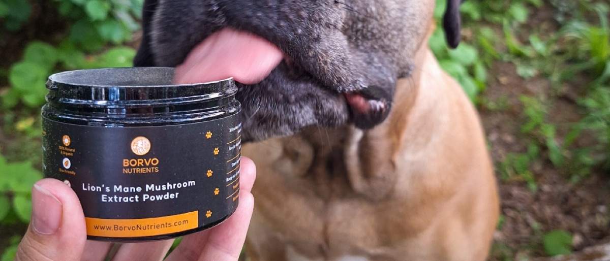ingredients - Short-Chain Fatty Acids in Dog Nutrition: Clinical Evidence Review