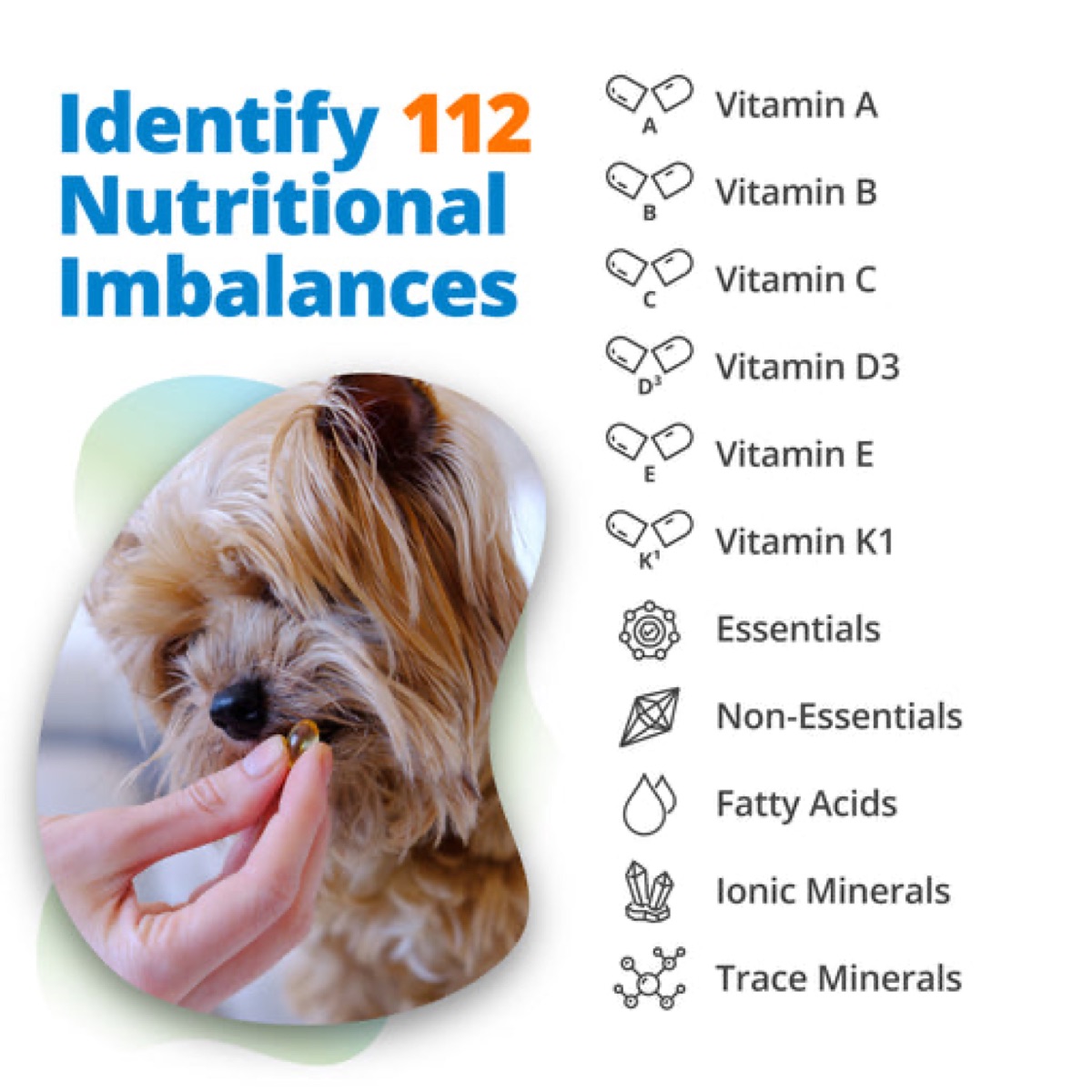 lab-testing - Heat-Killed Lactobacillus: Why Dead Bacteria May Outperform Live Probiotics