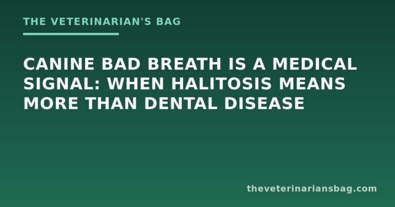 Canine Bad Breath Is a Medical Signal: When Halitosis Means More Than Dental Disease
