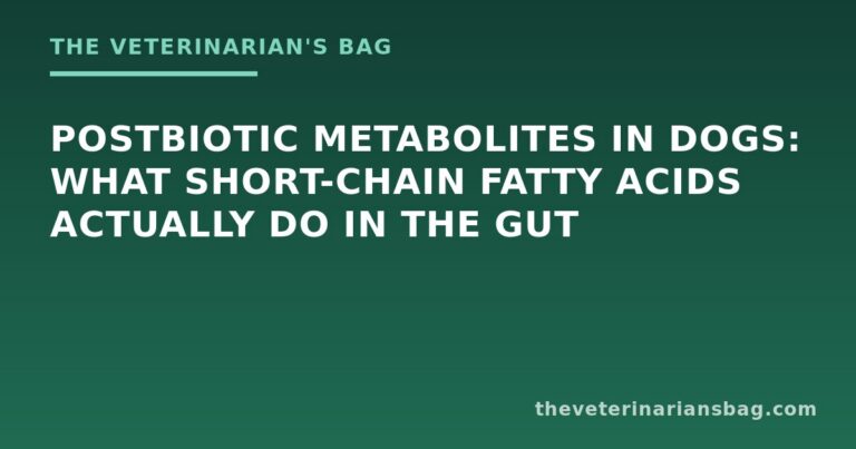 Postbiotic Metabolites in Dogs: What Short-Chain Fatty Acids Actually Do in the Gut