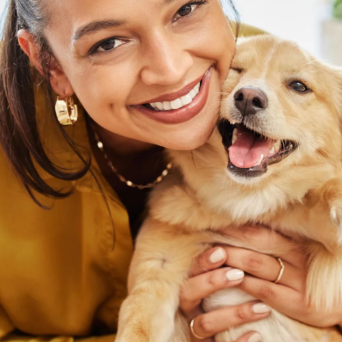 Probiotic Supplement for Dogs: A Vet’s Guide to Safe and Effective Use